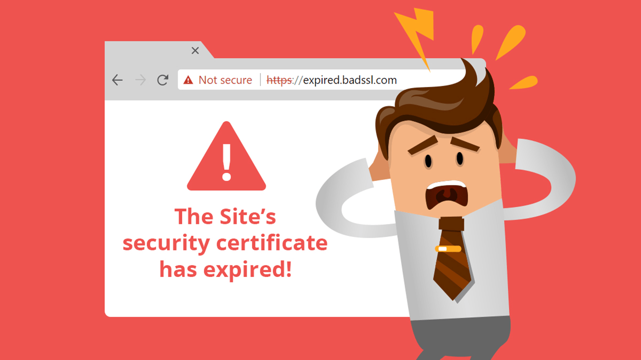 Bing now warns users from visiting sites with expired SSL certificate