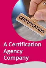 SEO Case Study - Certification Agency
