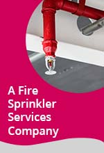 SEO Case Study - Fire Sprinkler