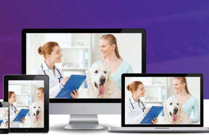 SMO Case Study - Veterinary Business -2