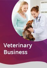 SMO Case Study - Veterinary Business