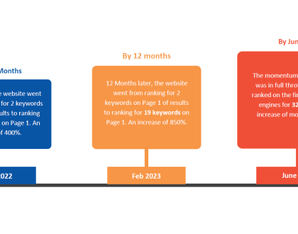 SEO Case Study - Insurance Agency Industry