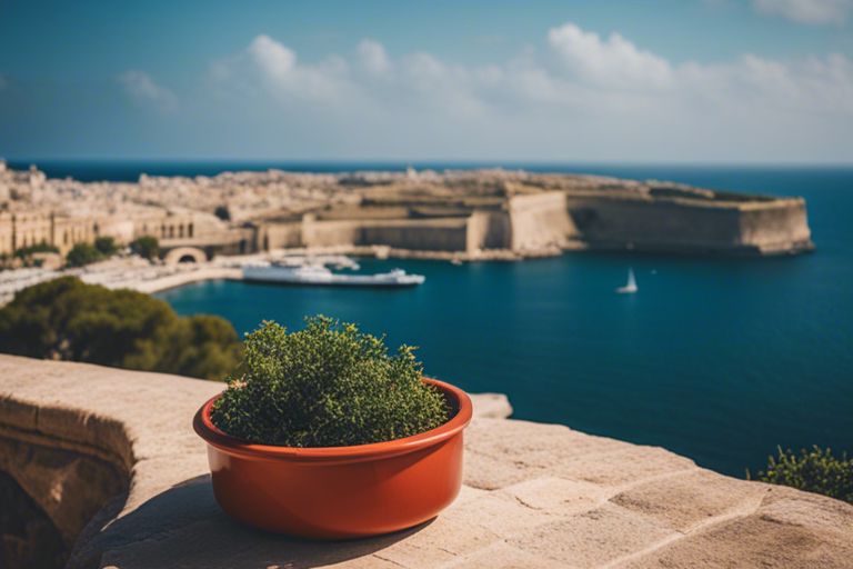 Maltesische Einblicke vor Ort - Eine intensive Untersuchung