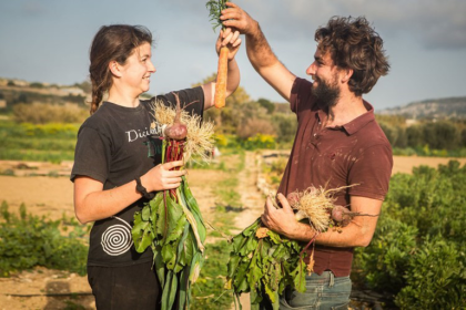Malta's Agricultural Growth rose 2.4% in 2023