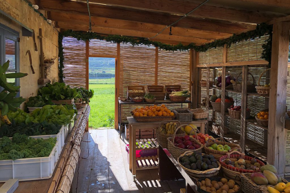 Malta’s Organic Farms and Markets