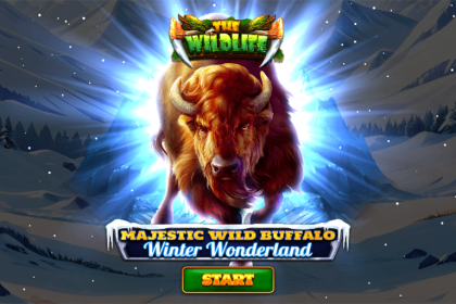 Majestic Wild Buffalo Winter Wonderland Slot 18 Majestic Wild Buffalo Winter Wonderland Slot