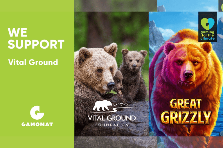 GAMOMAT Launches Great Grizzly Slot Game 2 GAMOMAT Launches Great Grizzly Slot Game