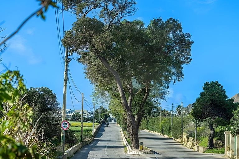 NGOs Secure Major Concessions in Gozo Road Project