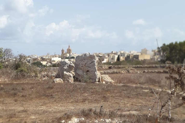 NGOs urge action to protect Gozo temple site