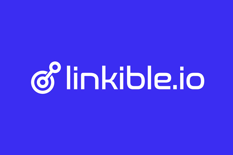 MediaX startet Linkible, die KI Linkbuilding Agentur 2 MediaX launches Linkible AI link building agency