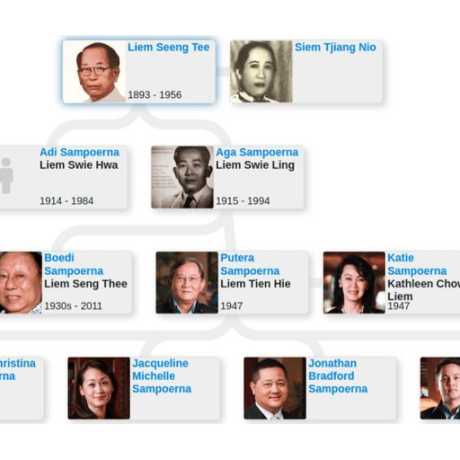 Sampoerna case and offshore ownership scrutiny