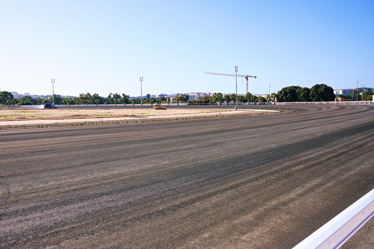 Marsa polo pitch progress worries club members