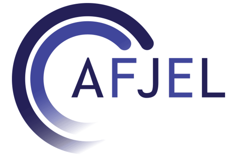 AFJEL fordert härteres Vorgehen gegen illegale Wetten in Frankreich 2 AFJEL urges stronger action against illegal betting in France
